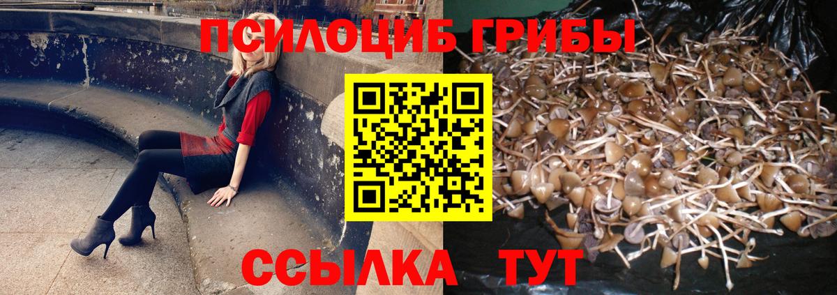 Новозыбков  Галлюциногенные грибы ЛСД  Галлюциногенные грибы мицелий  Вход с VPN 